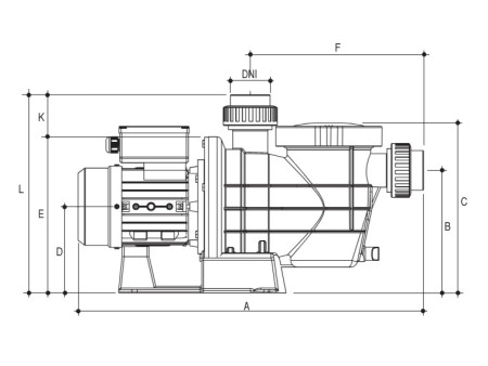 1,00 HP / 0,75 kW Pardus Mini Havuz Pompası