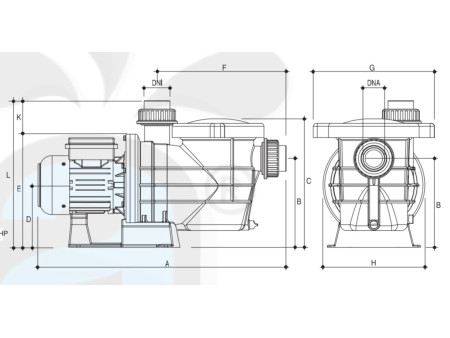 3,0HP / 2,2 kW Pardus Önfiltreli Havuz Pompası Pardus300M